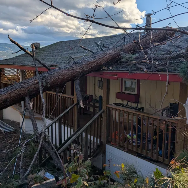 Storm clean up ggtr 04