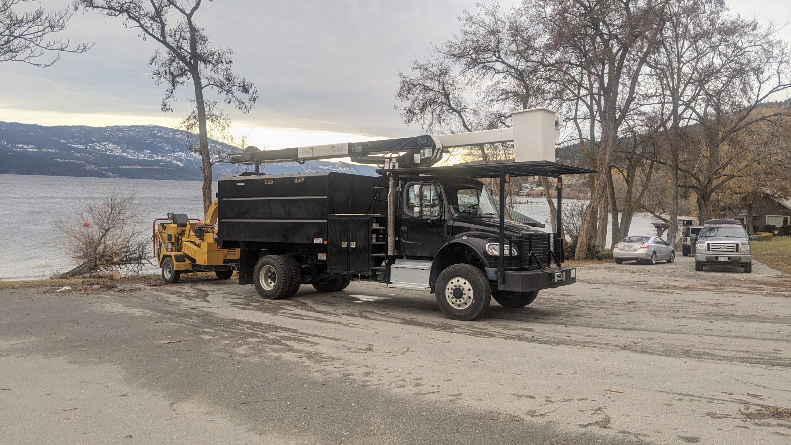 Green Giant Tree Removal bucket truck by the beach removing a tree