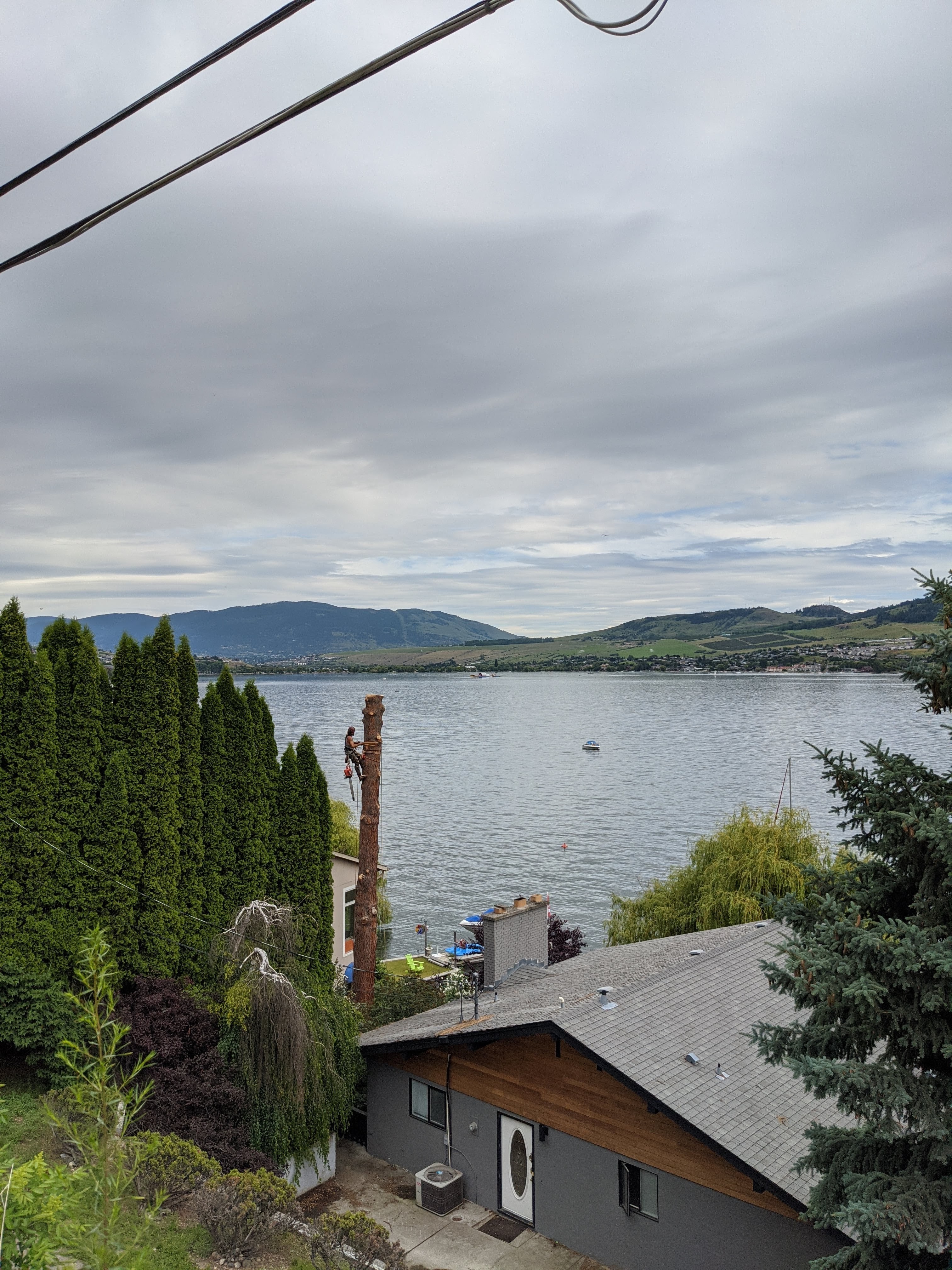 Tree removed to show view of lake