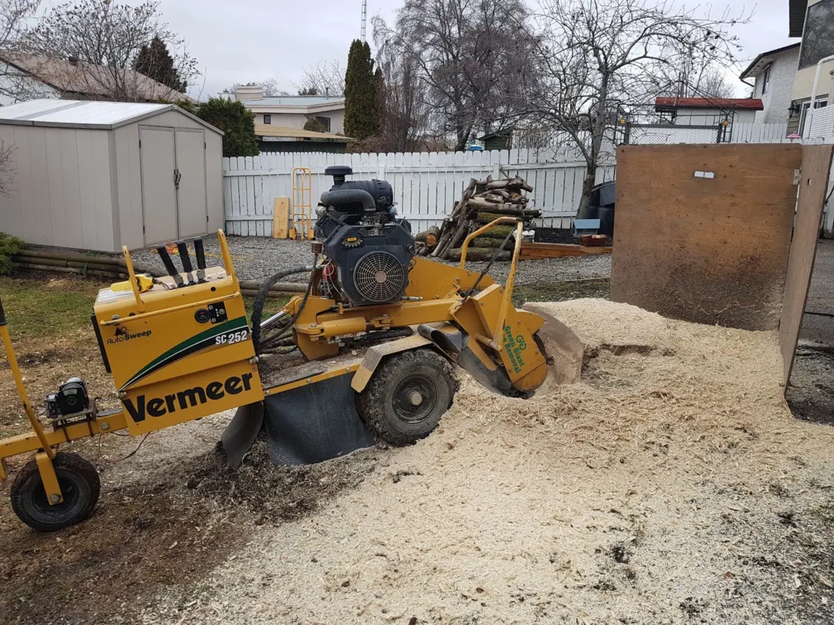 Stump removal with machine and wood chips