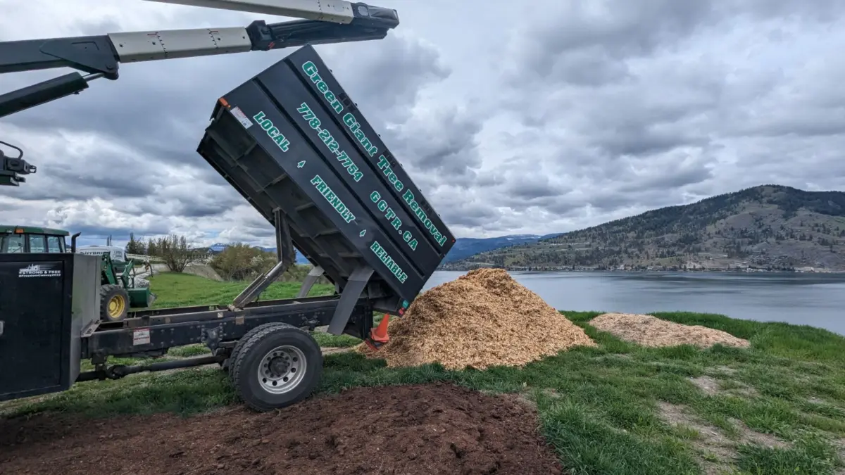 large crane and bin and chips being removed by water