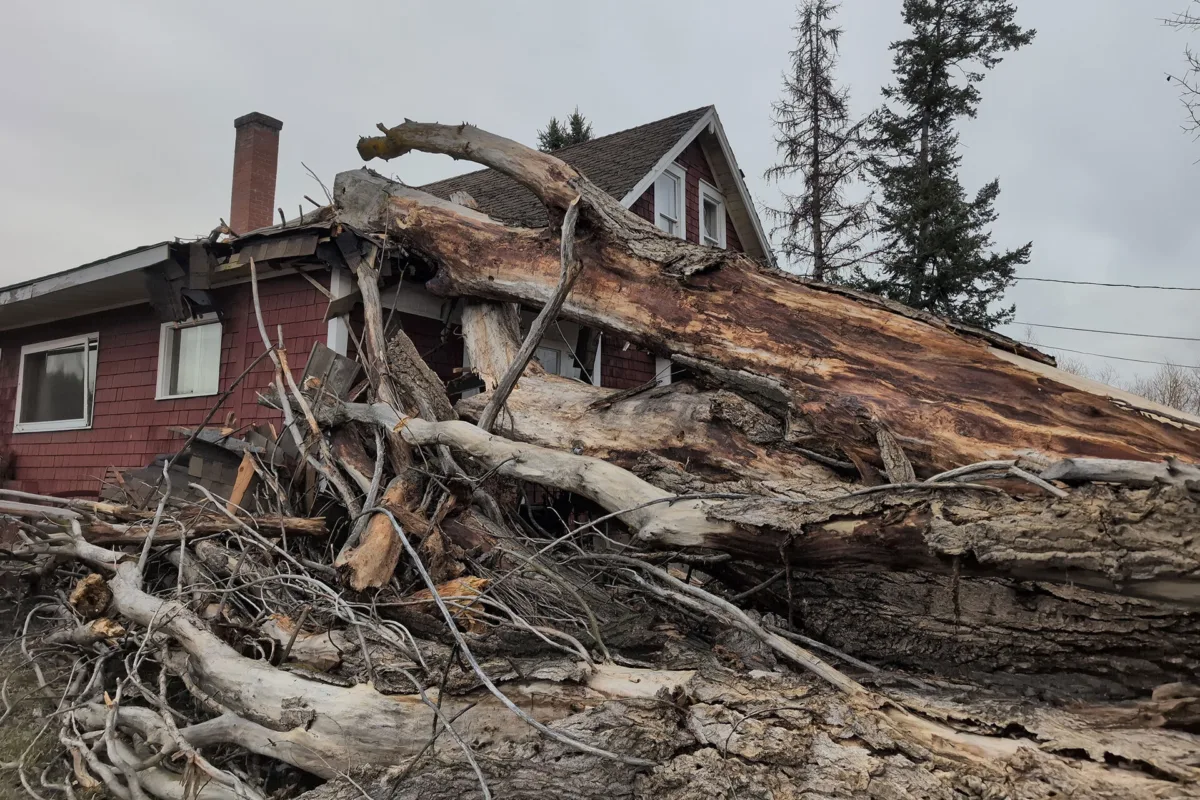 Storm damage ggtr 02