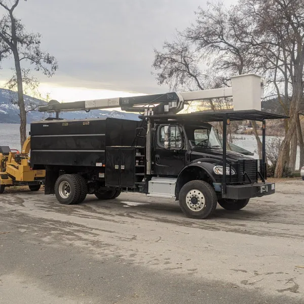 Green Giant Tree Removal bucket truck by the beach removing a tree