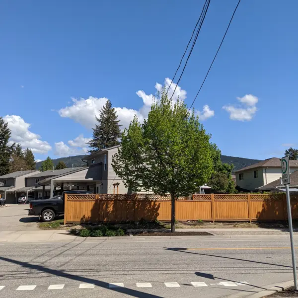 Pruning trees under wires blue sky
