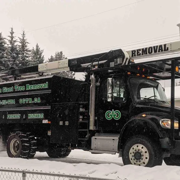 Green Giant Tree Removal Bucket truck in the winter