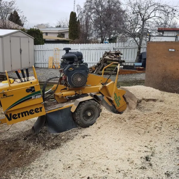 Stump removal with machine and wood chips