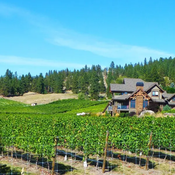Small winery blue sky and nice house