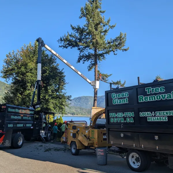 Using crane in between two green giant tree removal trucks
