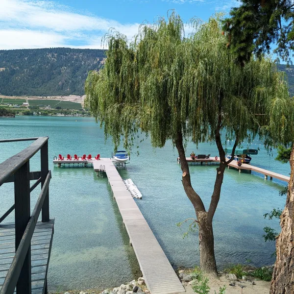 tree removal to enhance waterfront view