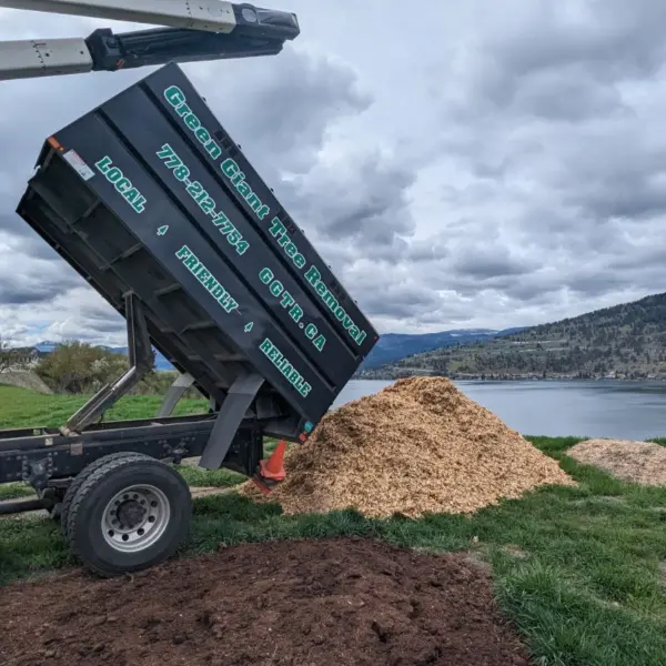 large crane and bin and chips being removed by water