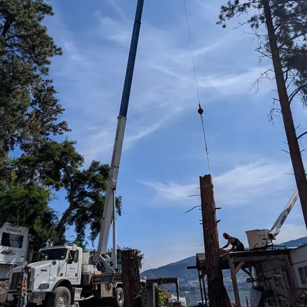 Green giant crane removal wide