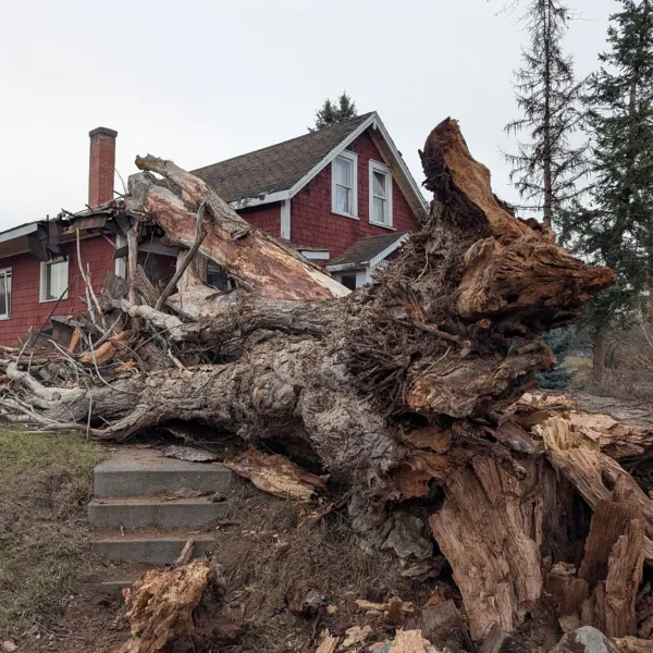 Storm damage ggtr 01
