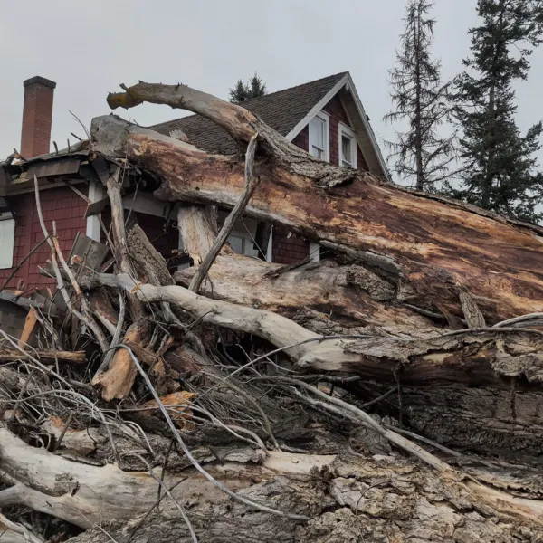 Storm damage ggtr 02