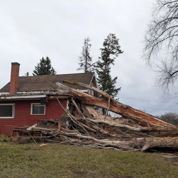 Storm damage ggtr 03