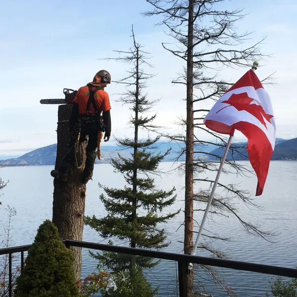 Ggtr canadian flag chainsaw 1920x1080