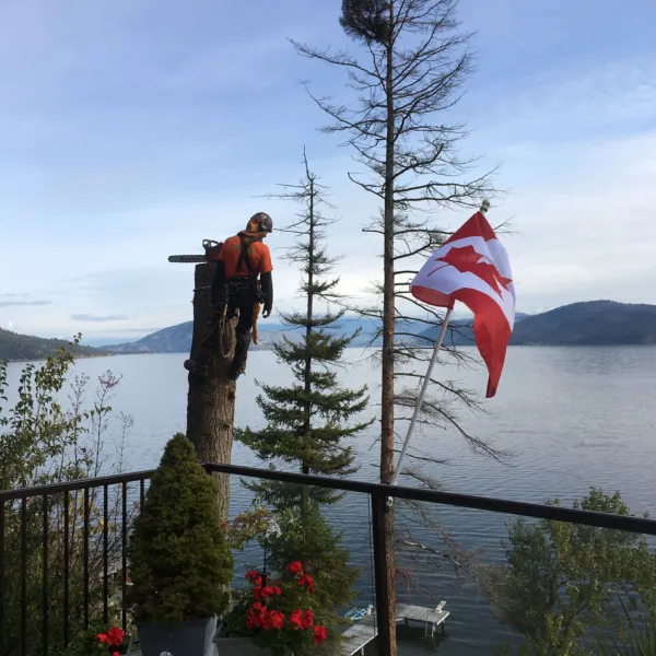 Ggtr canadian flag chainsaw