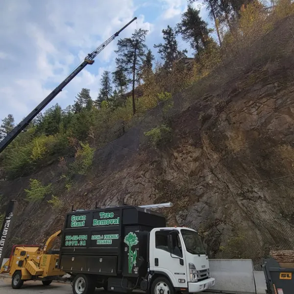 Tree removal truck hill