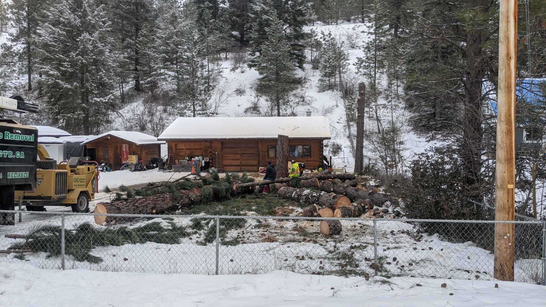 Large trees down surrounding small cabin in winter